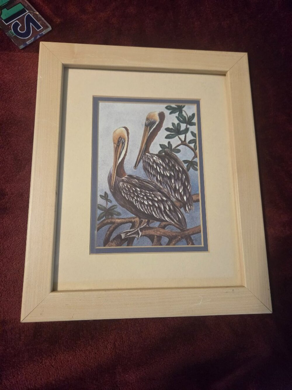 framed art print featuring two pelicans perched on a branch signed Dianne krumel